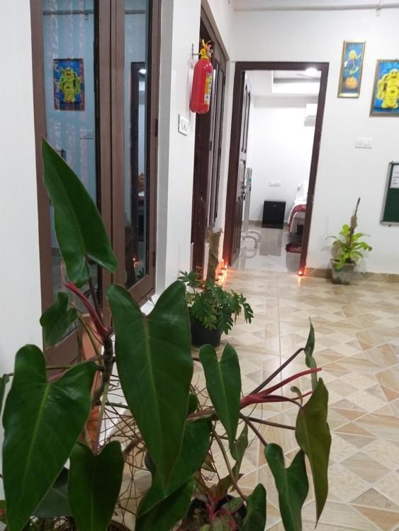 Sushils Bed And Breakfast 布莱尔港 外观 照片